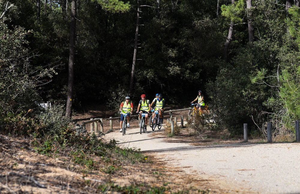 image de Animation dans les territoires vendéens